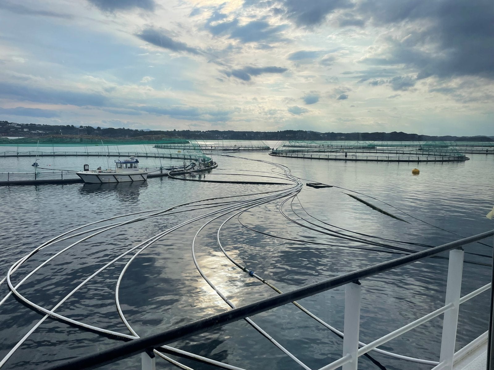 Mowi om lakseskatten: – Det er blitt dannet et veldig feil inntrykk