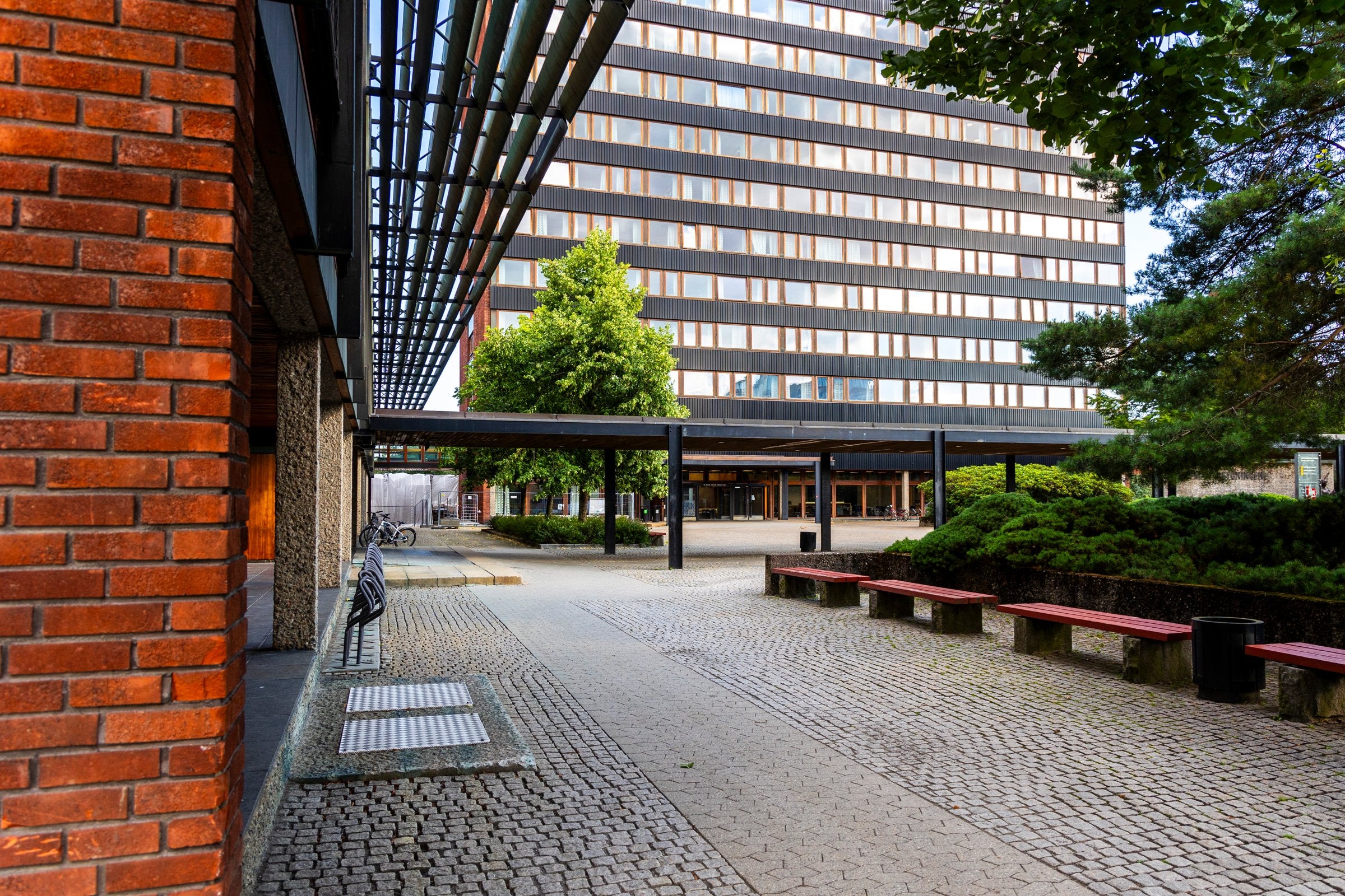 Trosser KI-usikkerhet: Økonomistudier blant årets mest populære