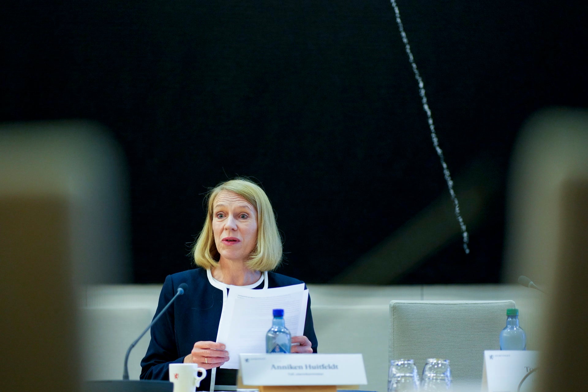 The Foreign Service under scrutiny: New hearing on control and culture