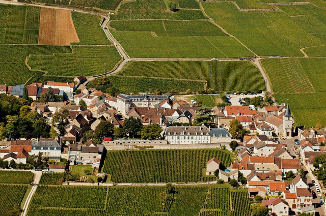 Rundt landsbyen Vosne-Romanée i Burgund lages verdens dyreste viner basert på druen pinot noir.