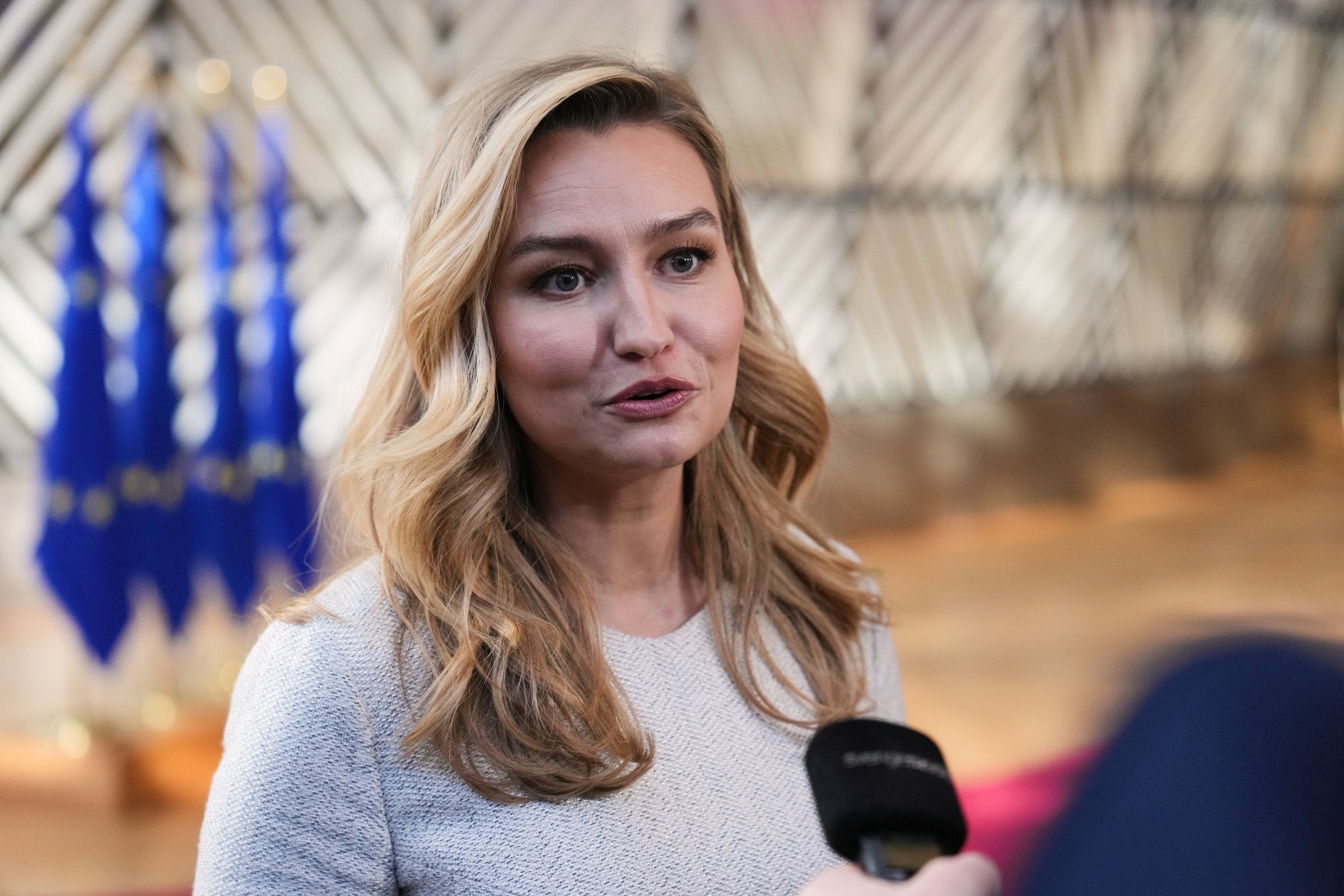 Sverige setter kraftkabel til Danmark på pause etter EU-krangel