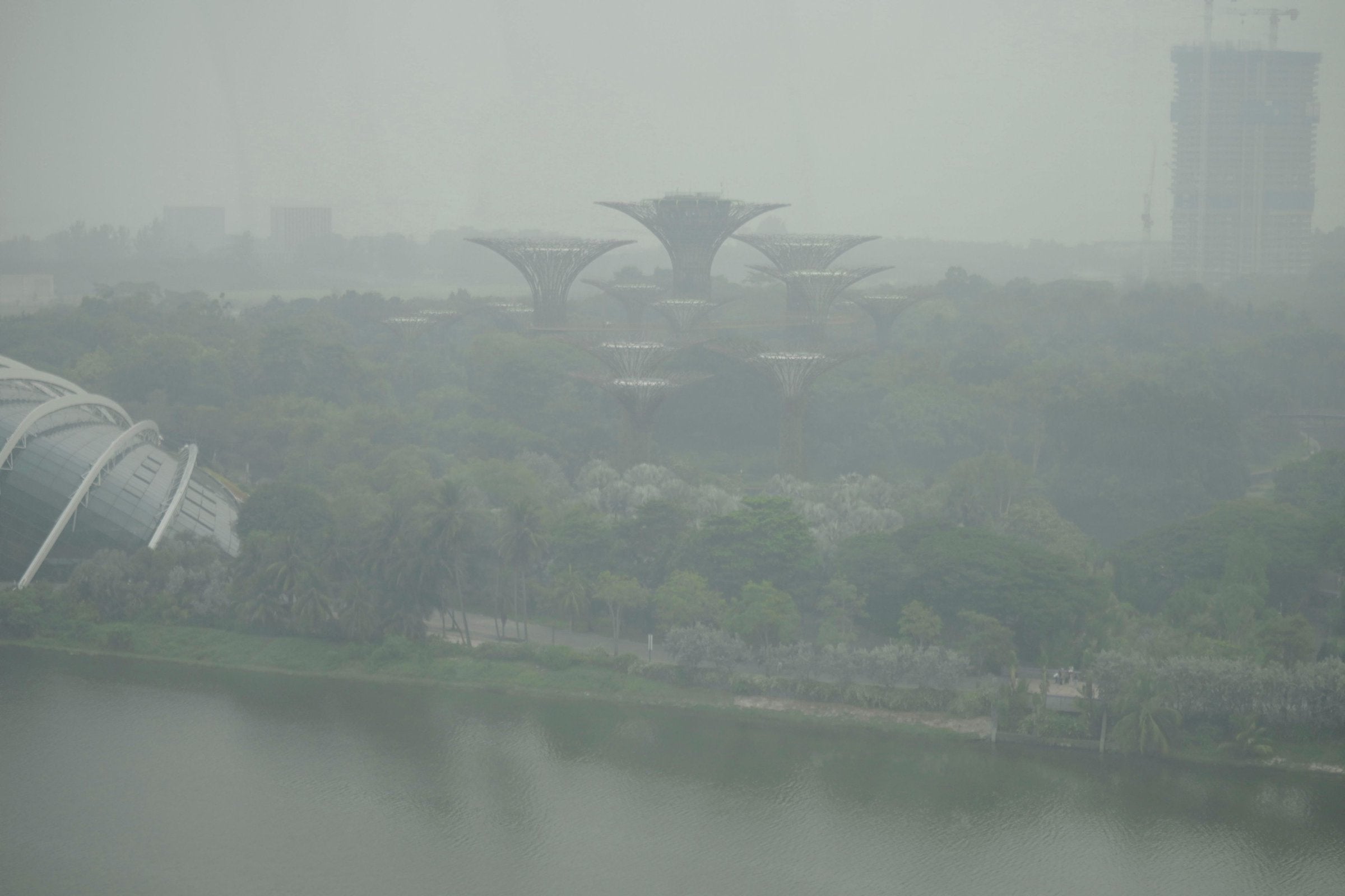 Røyken kveler Sørøst-Asia – Singapore leter etter skyldige