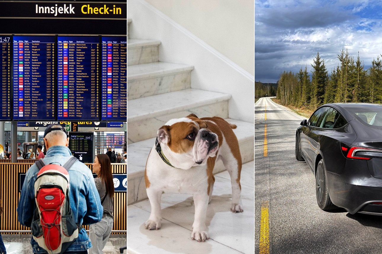 Disse forsikringene har steget mest i pris: – Grunn til bekymring