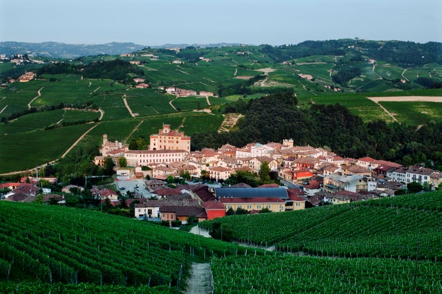 Barolo landsby omgitt av sine berømte vinmarker. Foto: Sune Eriksen.