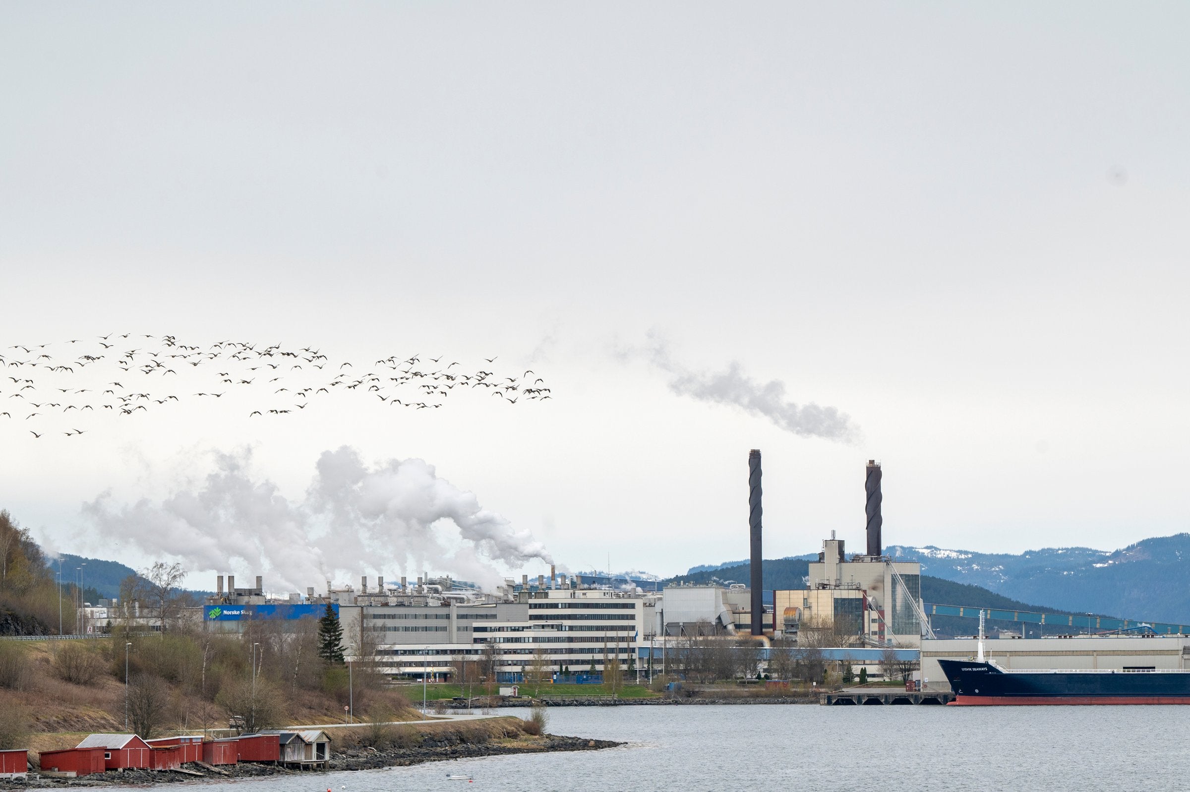 Norske Skog får ikke lenger gratis klimakvoter: – Dette er svært alvorlig