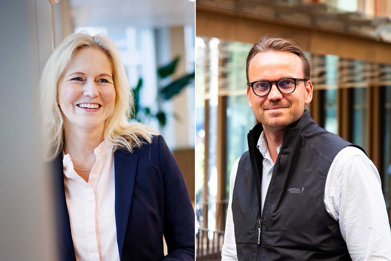 Fondene som tjener på renteoppgang: – Back in business