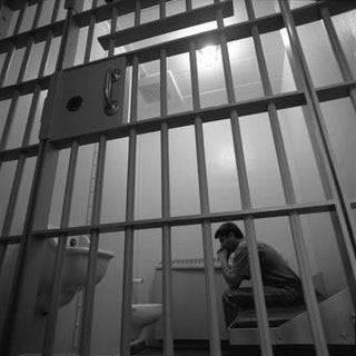 Seafood fraudster gets five year jail term | Intrafish