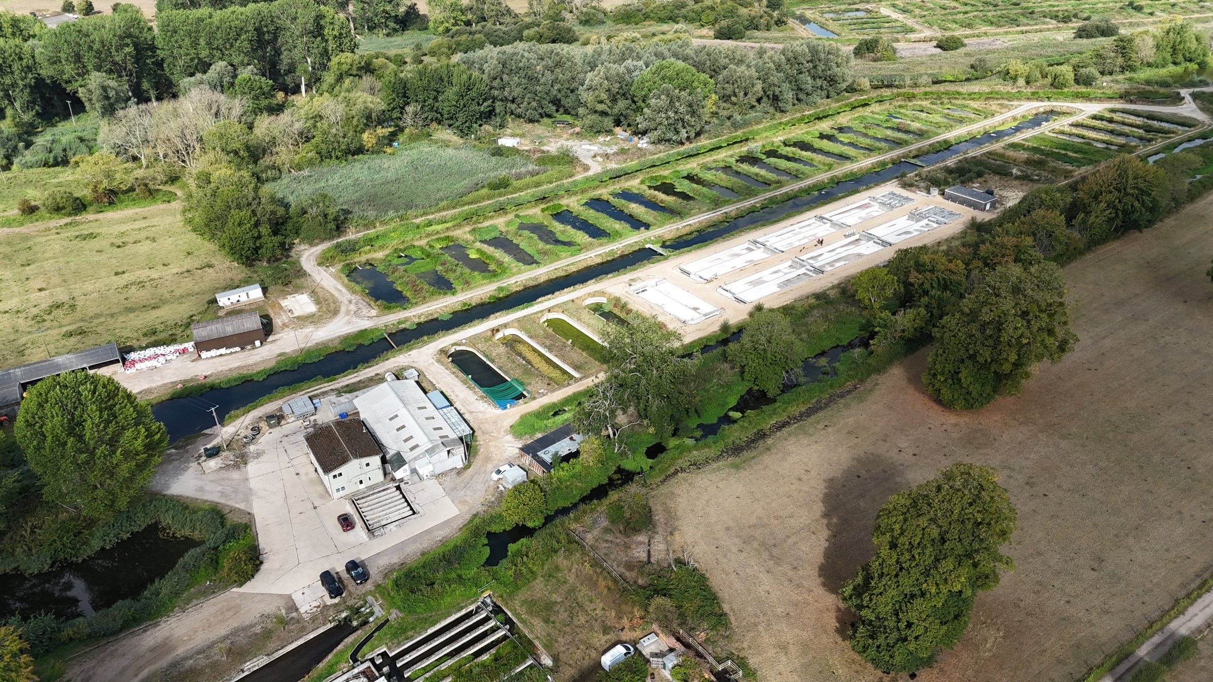 UK ‘must act now’ to develop land-based aquaculture sector