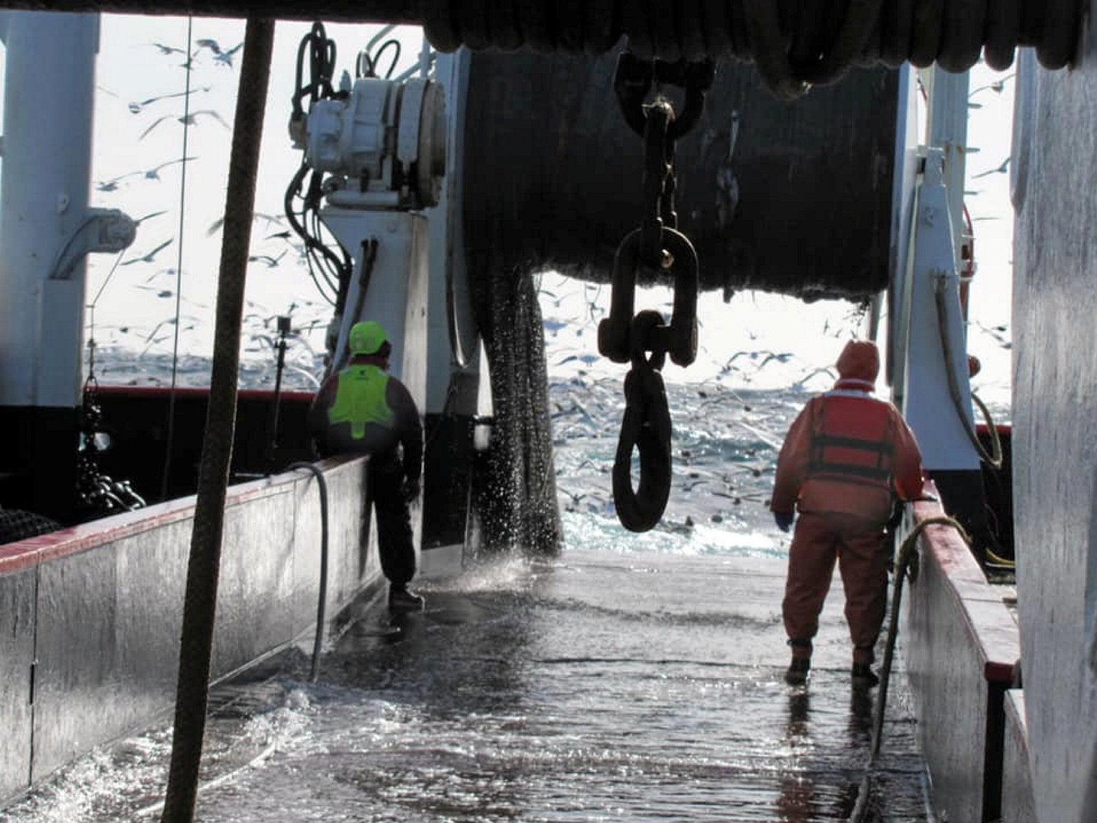 Groundfish Forum: Atlantic cod catch expected to shrink in 2024 ...