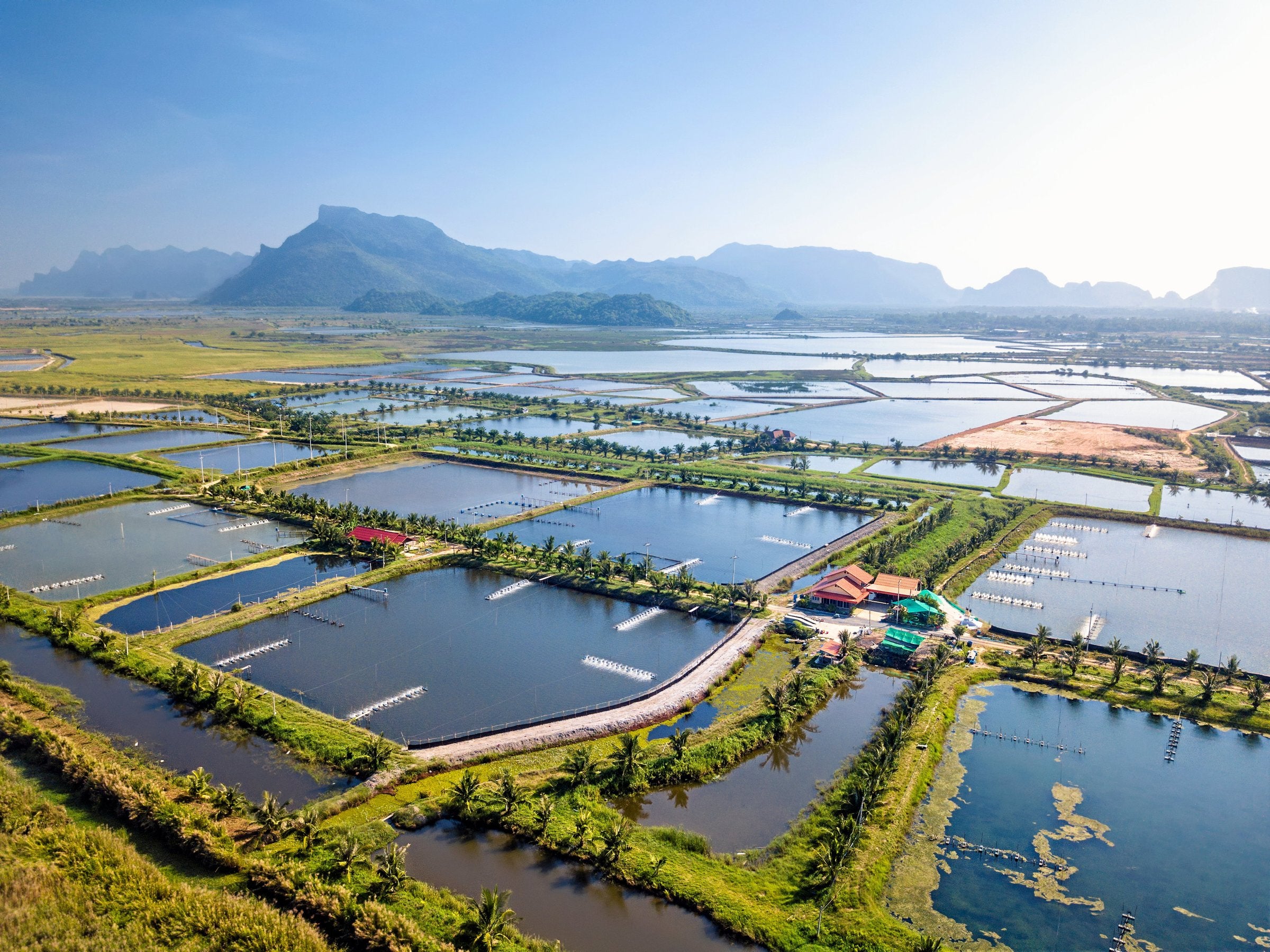The World Bank highlights $1.5 trillion aquaculture investment opportunity