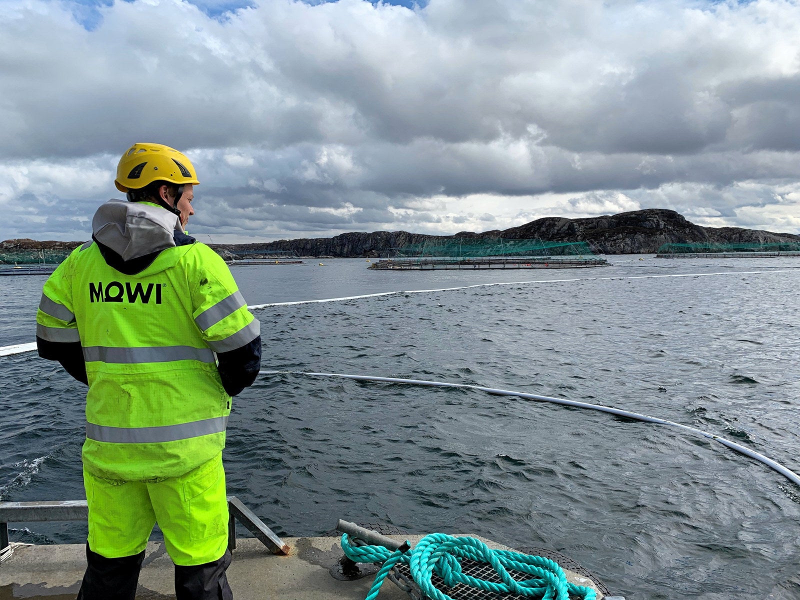 Mowi forced to cull salmon as pancreatic disease outbreak confirmed