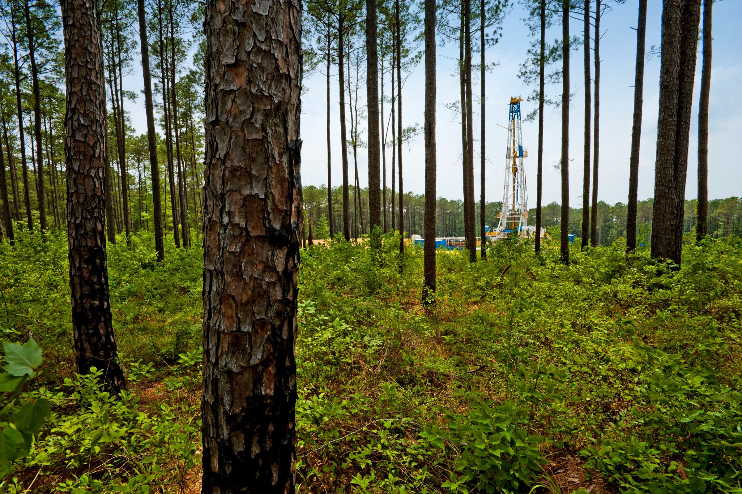$1.5 billion acquisition agreed in the Haynesville shale | Upstream