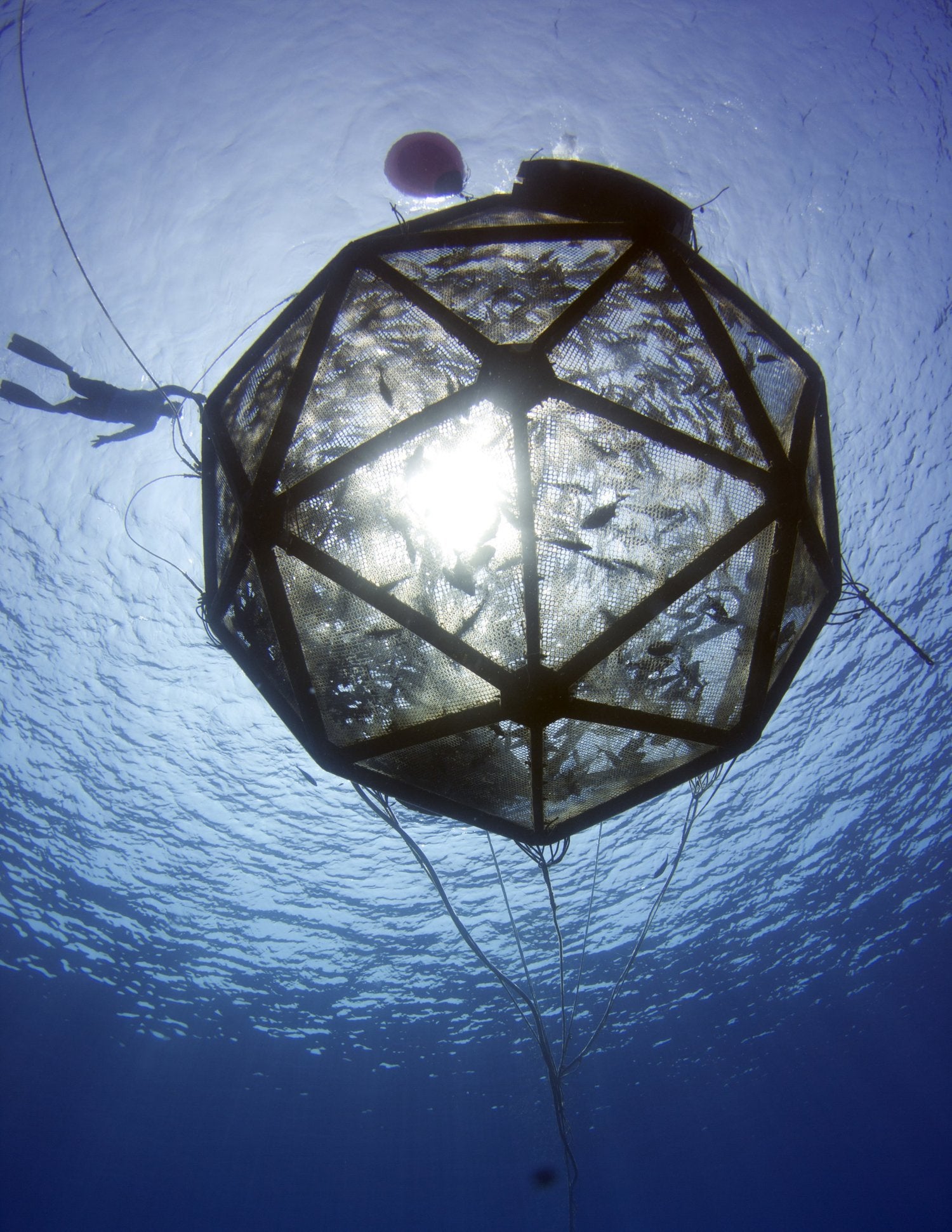 'We want the skeptics': Aquaculture project readies to change minds