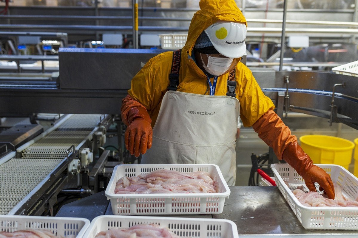 Updated bycatch bill would add new Alaska trawl regulations