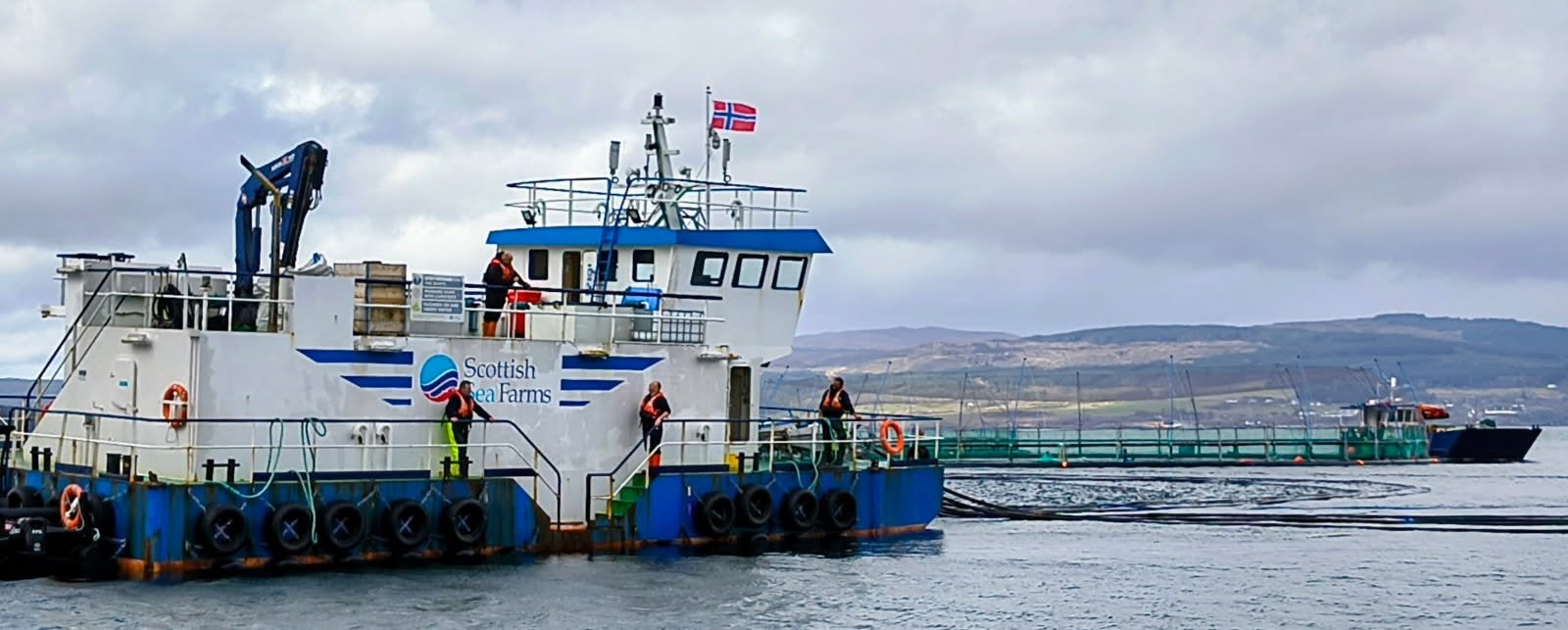 Oceanbox launches new ocean model for Scotland