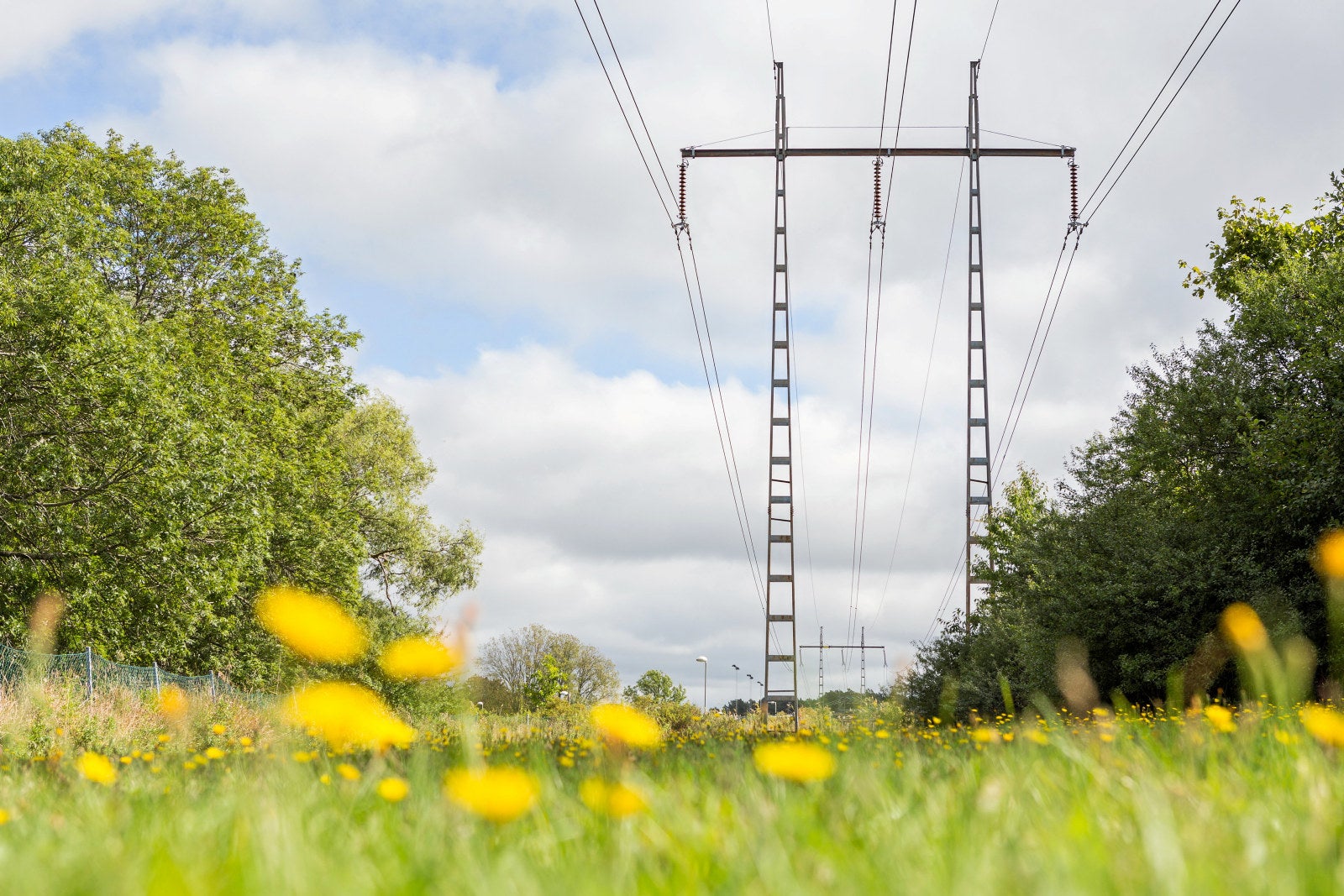 Tidenes laveste strømpris på hverdag: Spotkundene får 23 øre/kWh for å ...
