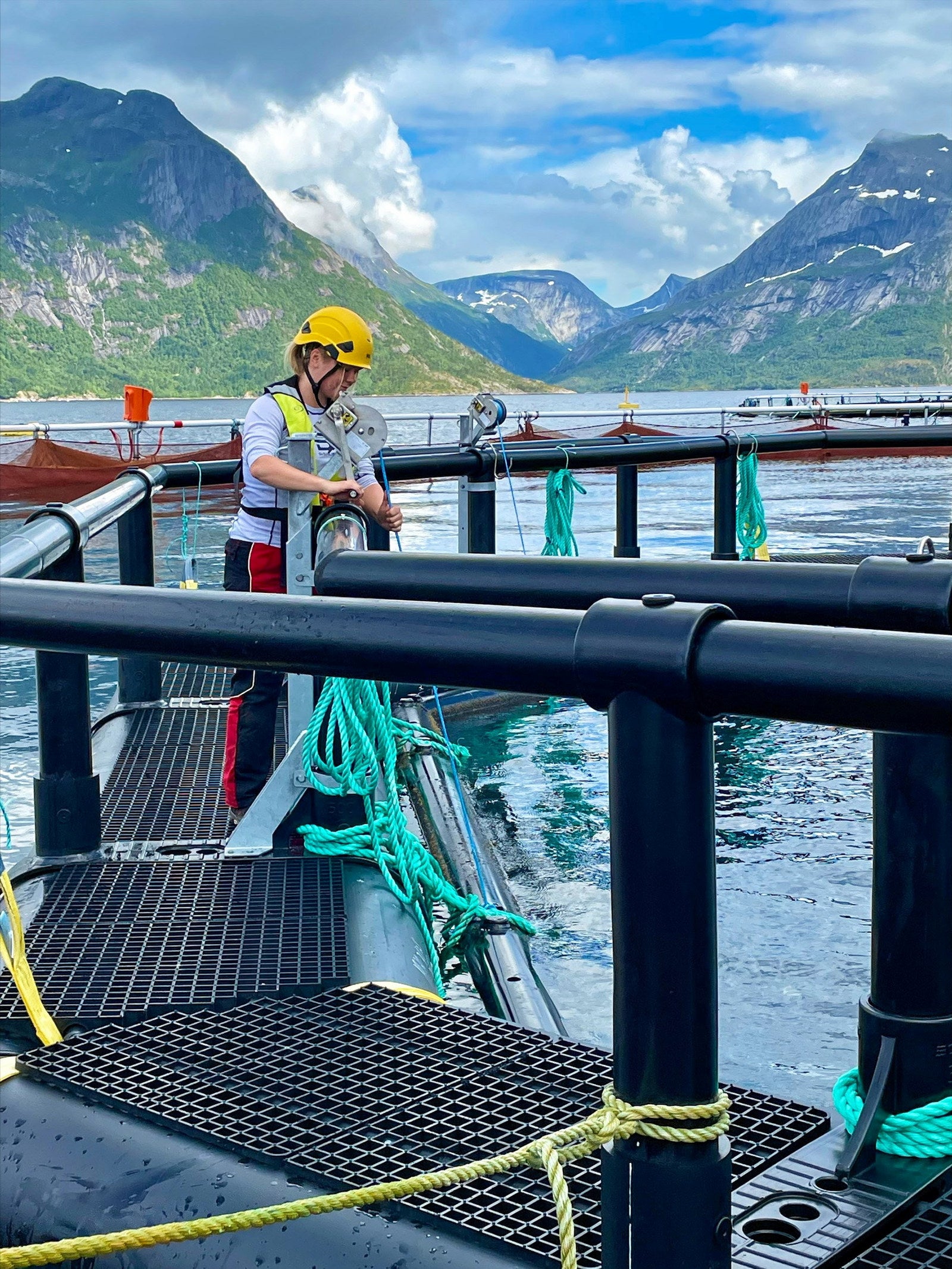 Delousing disaster at Cermaq kills thousands of salmon | Intrafish
