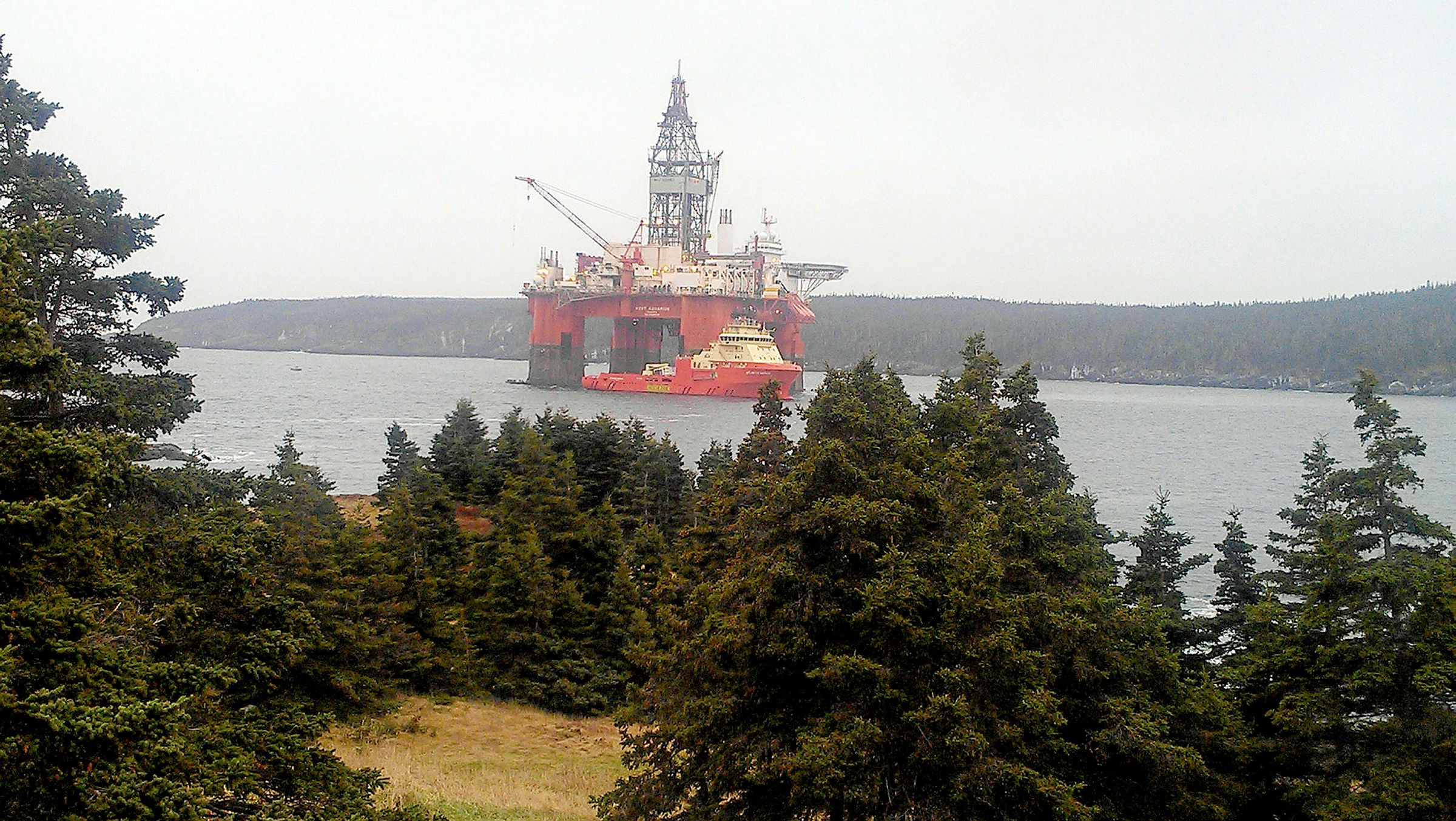 Wildcat Harp back on song | Upstream