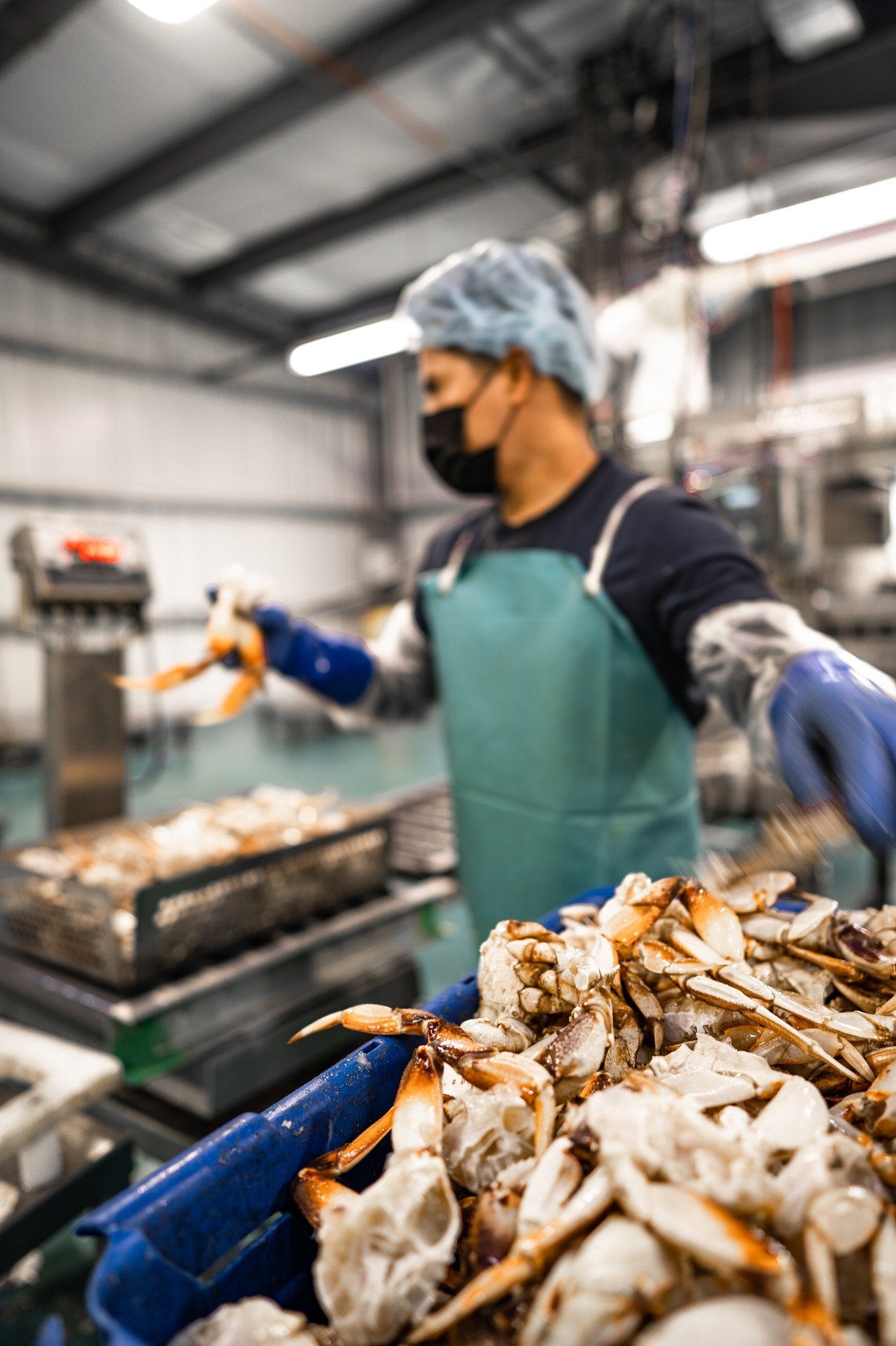 Judge signs off on $2.25m crab price-fixing settlement