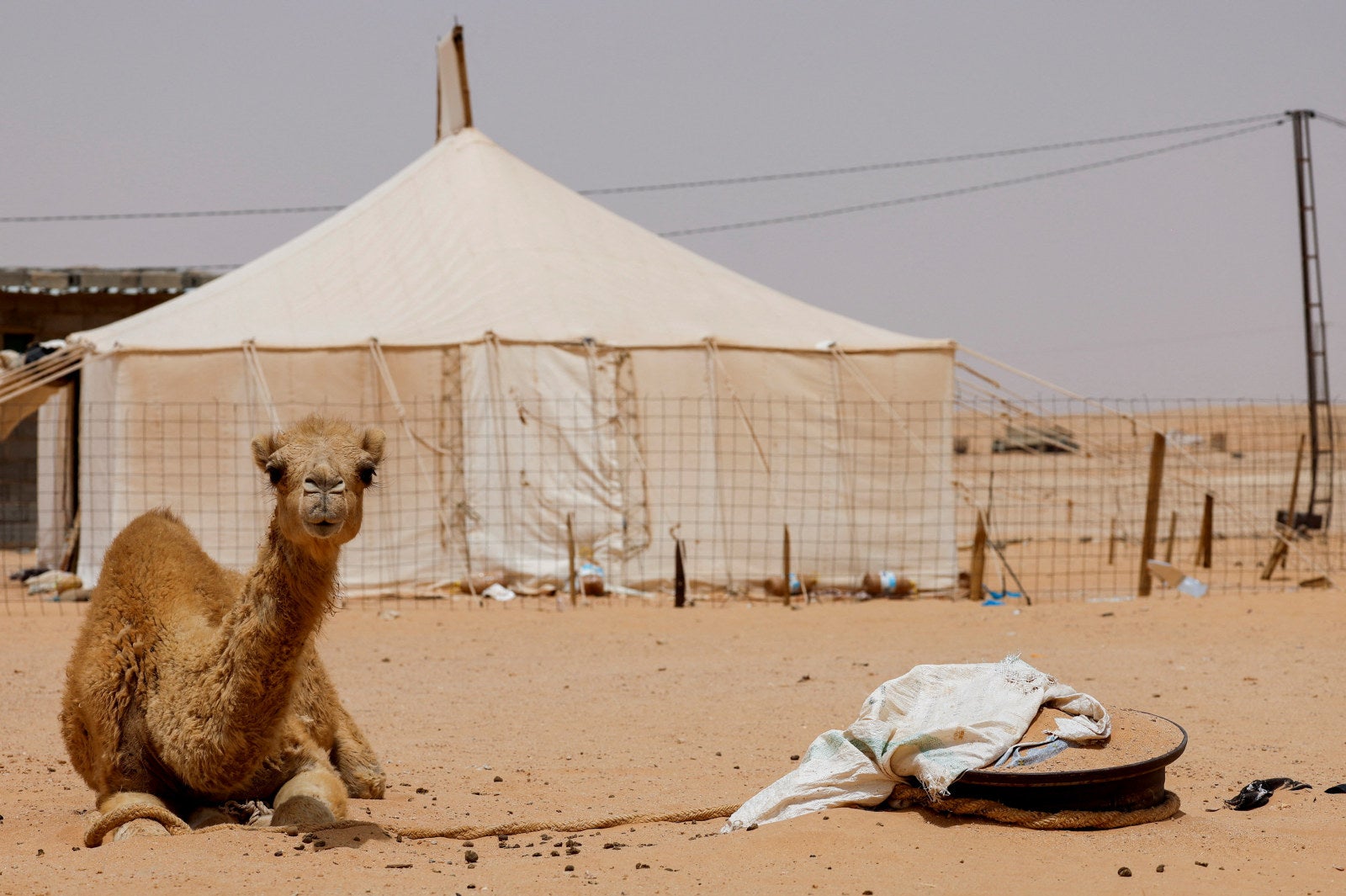 Awarded: Consortium lands $300 million Algerian engineering ...
