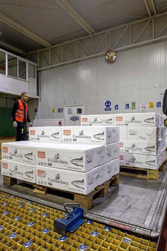 Salmon stockpile saves Camanchaca from price squeeze