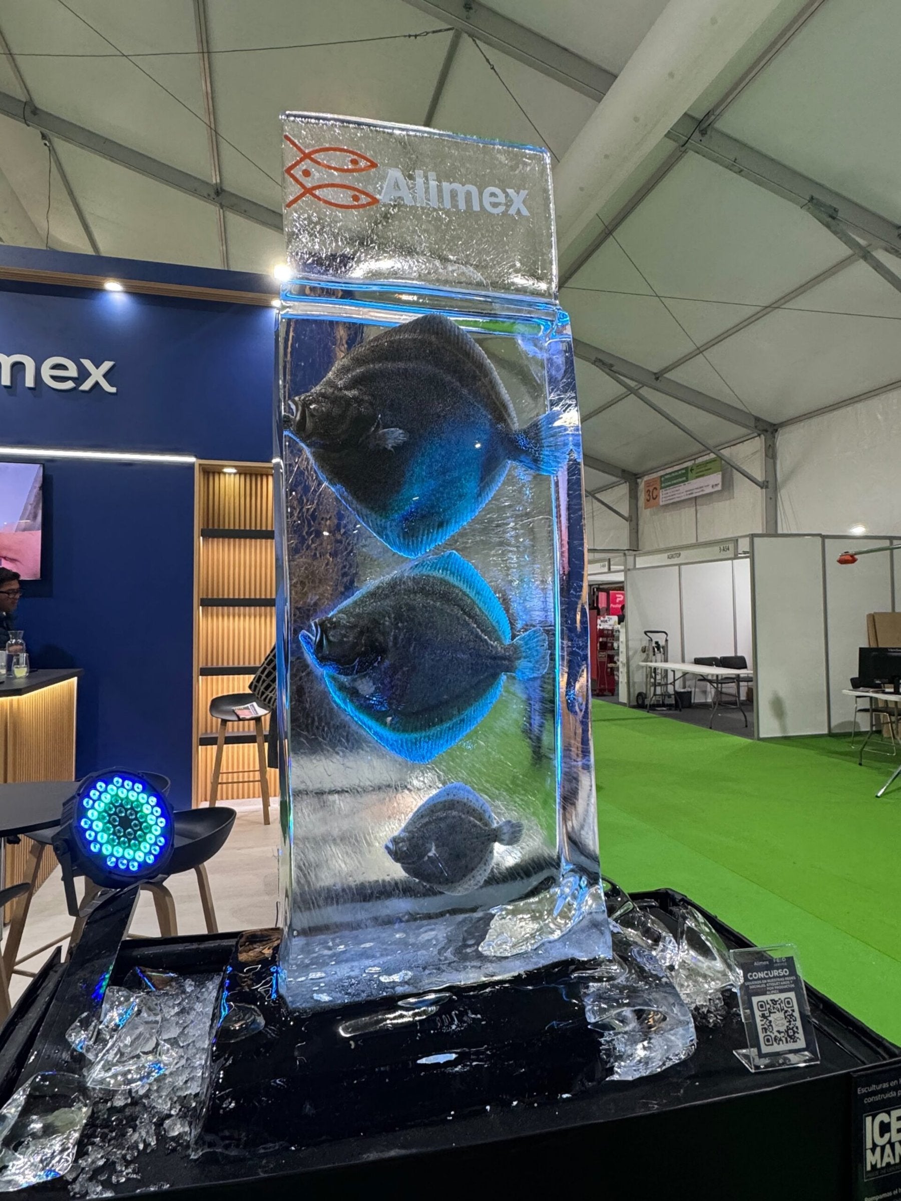 Chile looks to carve out market for premium farmed turbot