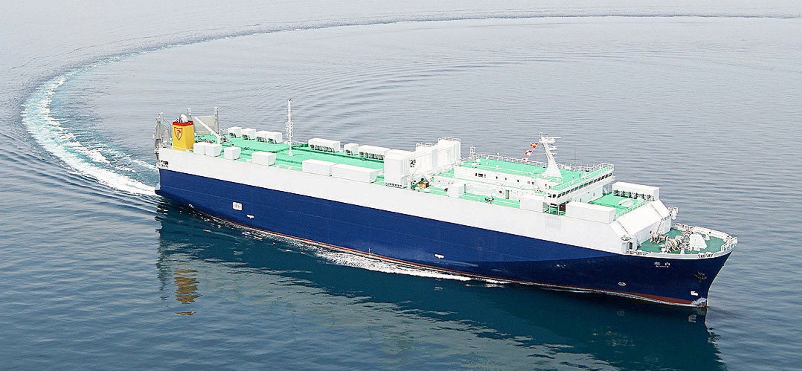 Body of crew member from ro-ro that sank off Japan last week found