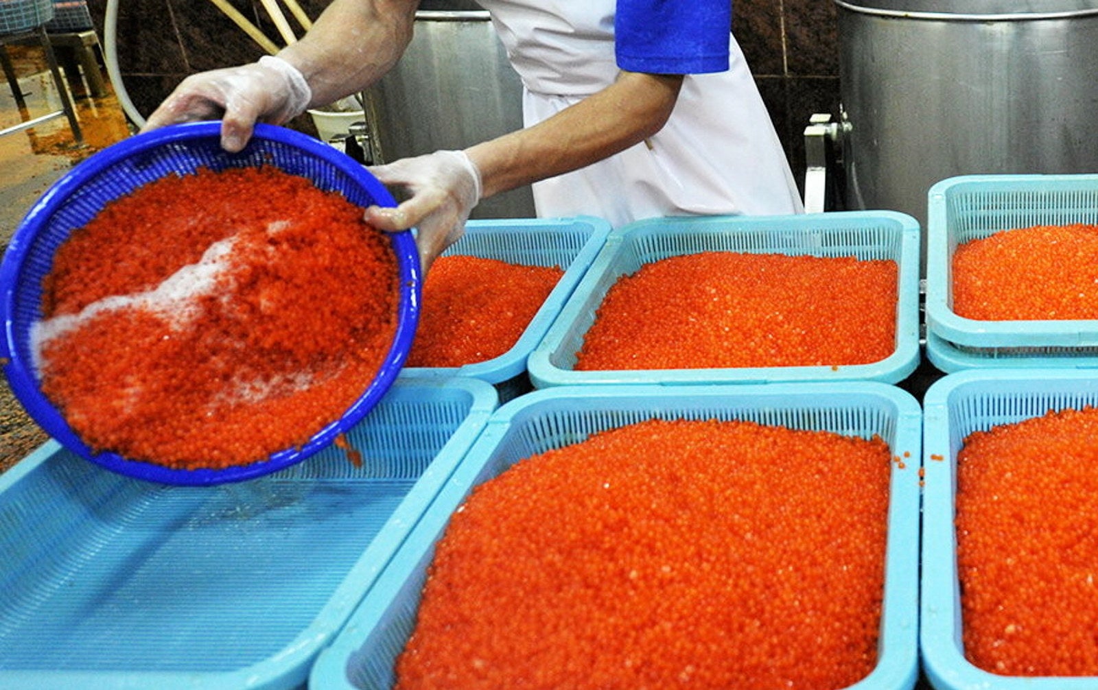 Russian consumers face rocketing salmon roe prices | Intrafish