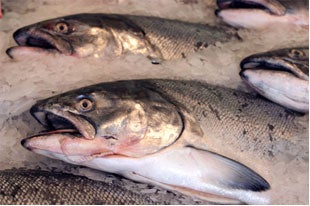 Snopac acquires Alaska salmon plant for value-added production
