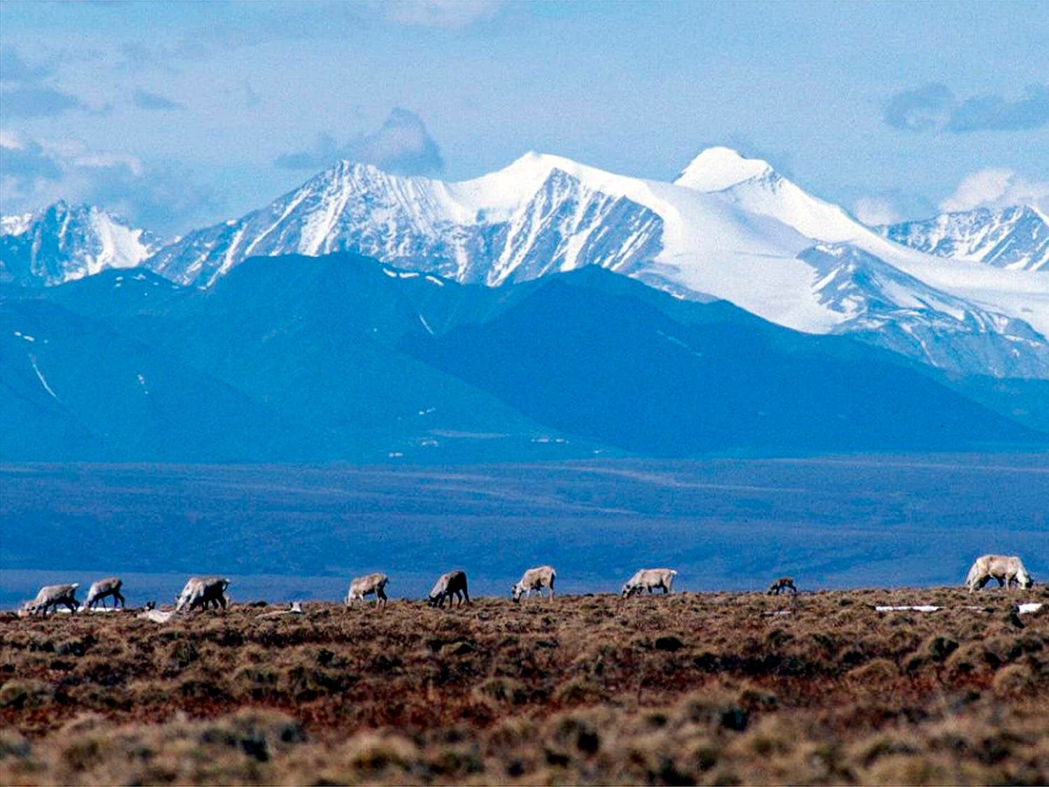 Industry gears up for contentious Alaska lease sale