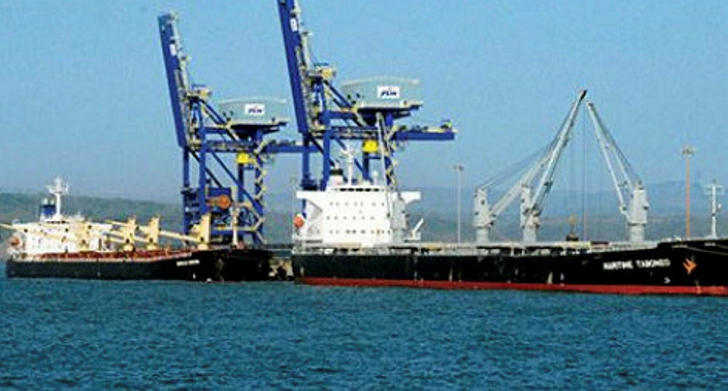 JSW seeks 30 ships in $180m newbuild push