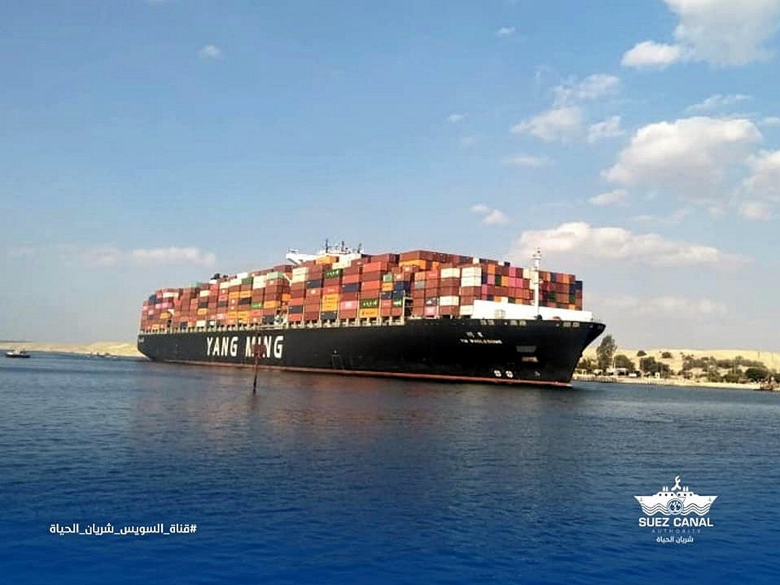 Nine major liner companies saw operating income triple in 2020