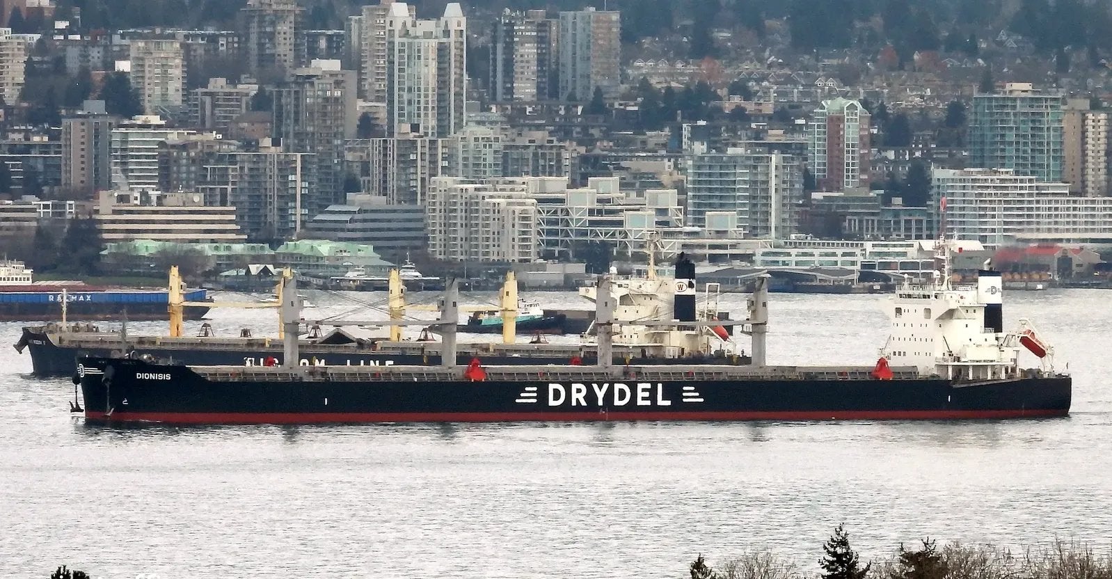 How Great Eastern Shipping's Strategic Fleet Expansion Reveals Key Market Opportunities