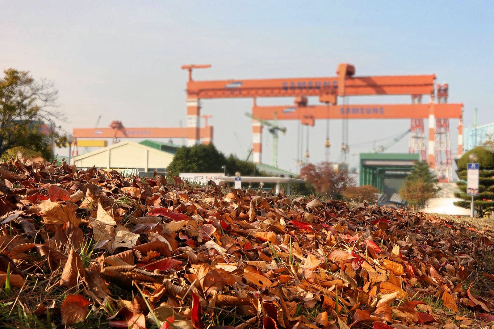 JP Morgan inks LNG carrier duo as it boosts newbuilding orderbook