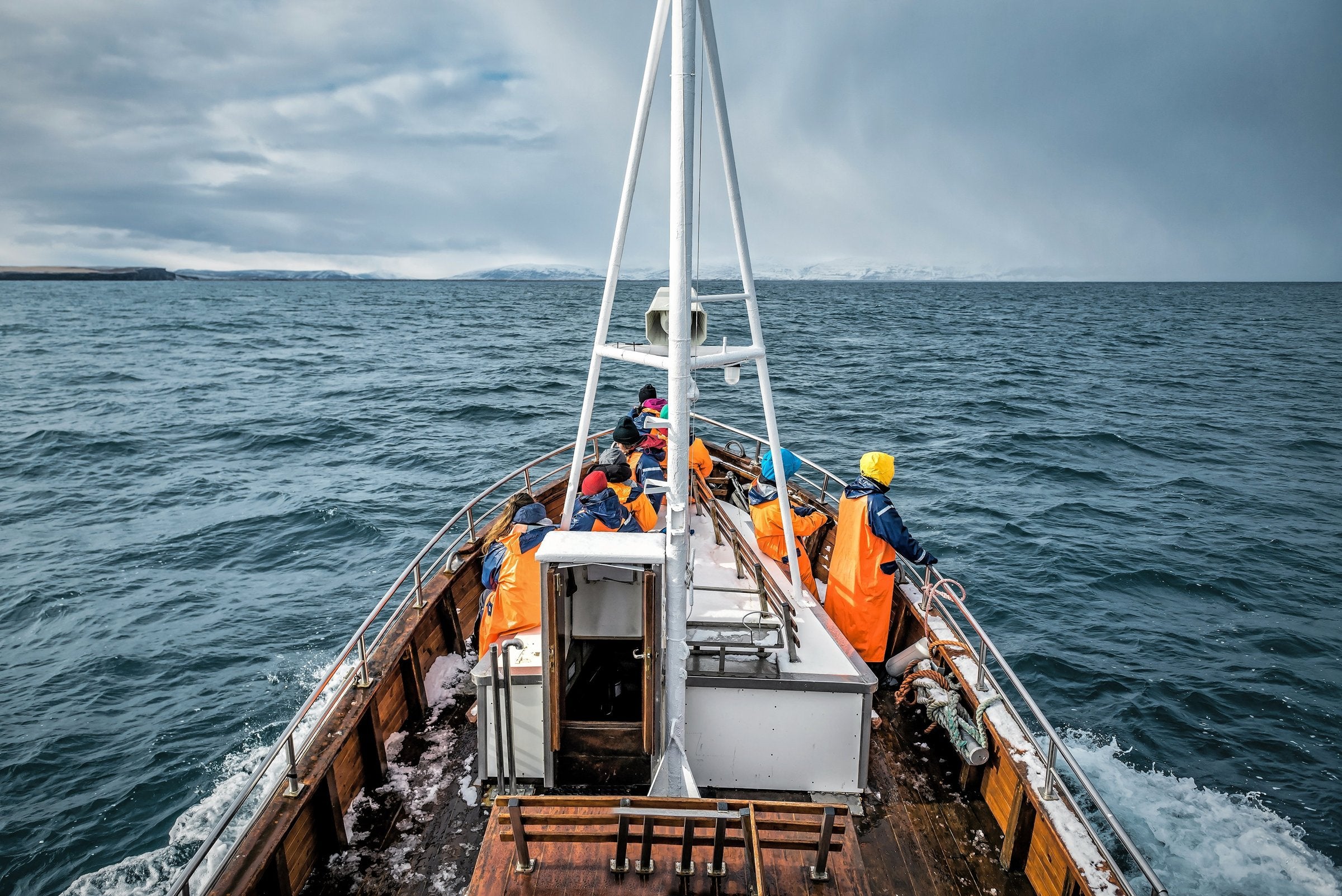 No quick rebound in sight for Iceland's cod stock