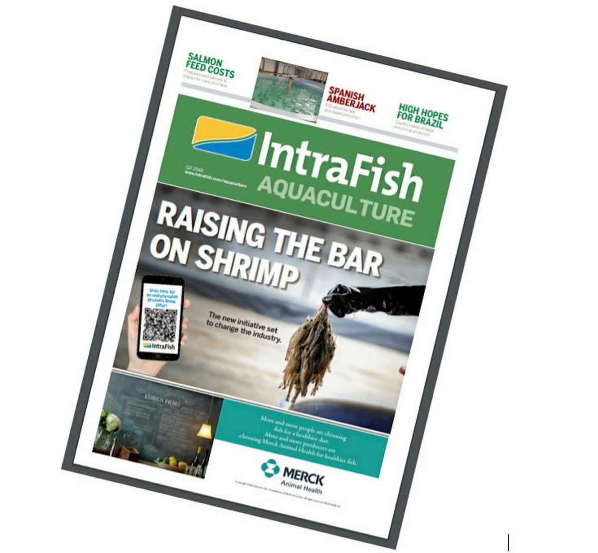 Shrimp's new standard: IntraFish Aquaculture is out now | Intrafish