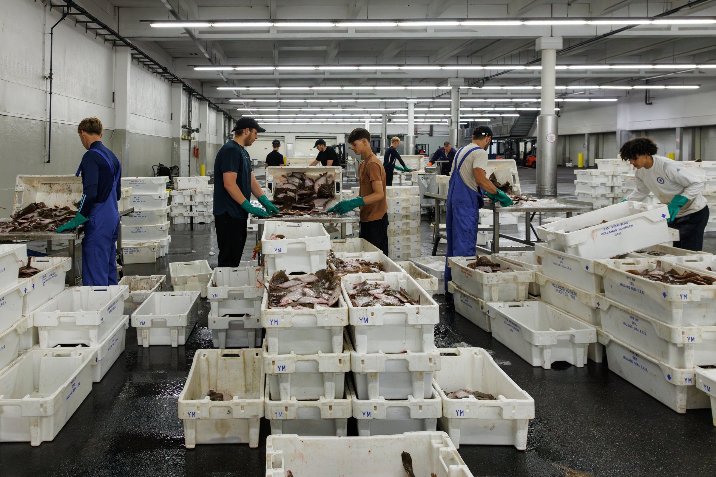 Europe’s Russian seafood dilemma is far from over
