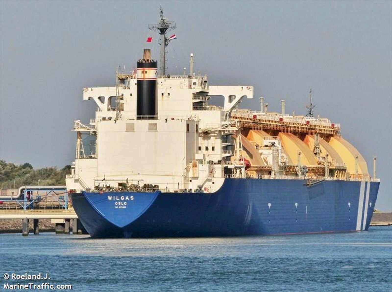 Sinokor limbers up to scrap two more LNG carriers