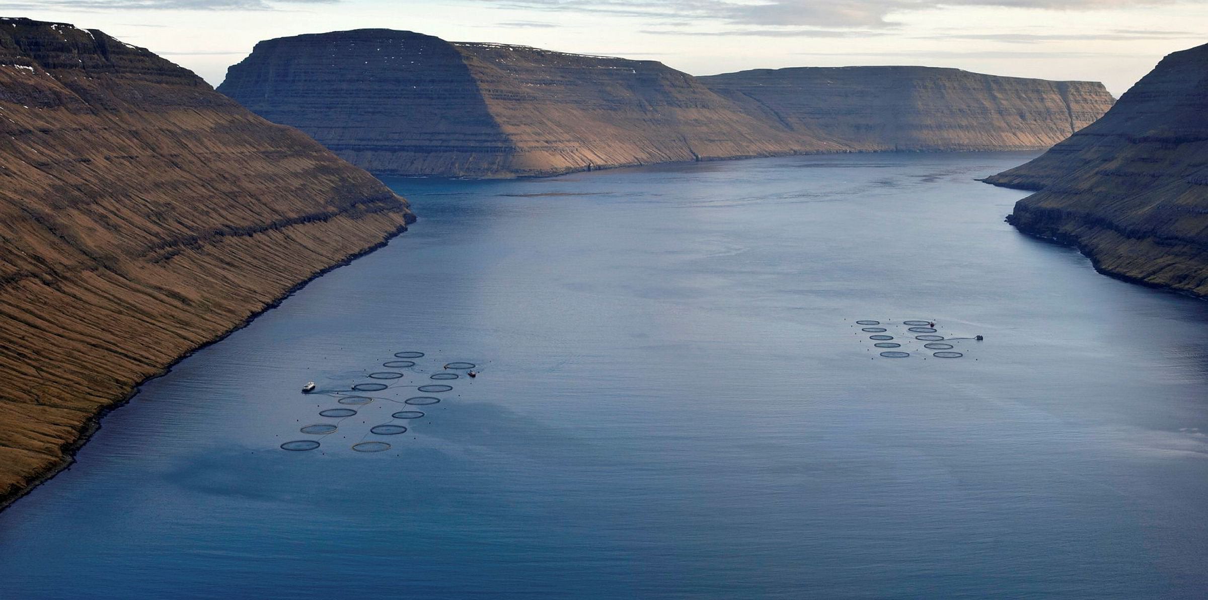 Hatch Blue leading new Canada aquaculture innovation 'studio' | Intrafish