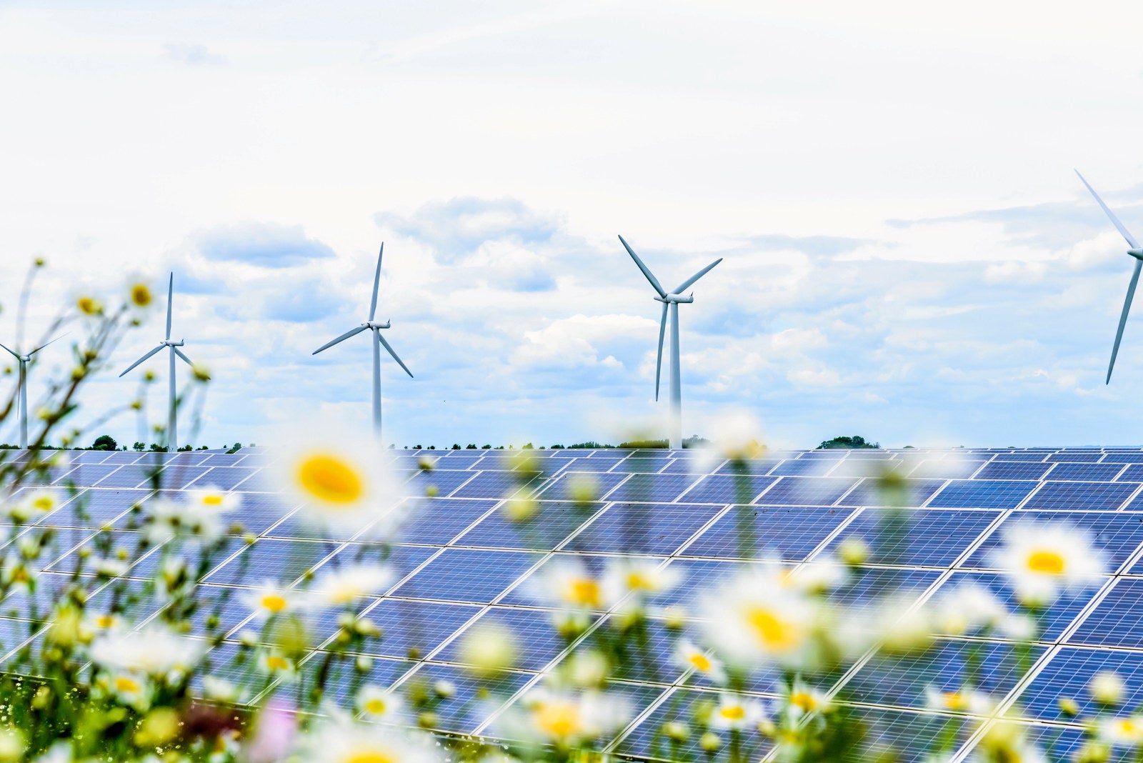 LS Power in $2.5bn swoop for Algonquin renewable energy business | Recharge
