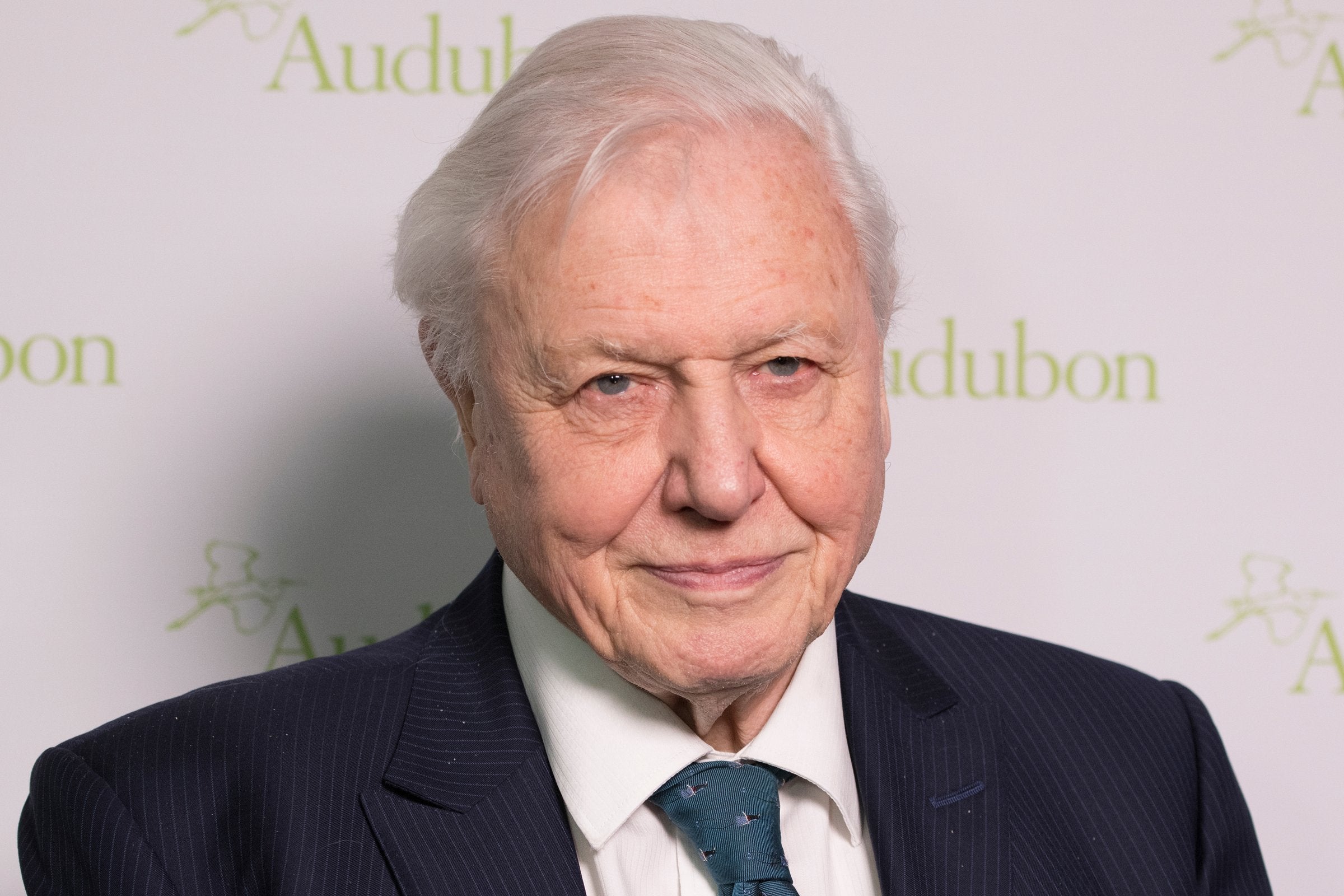 Environmental group wants to honor Attenborough centenary with action against IUU
