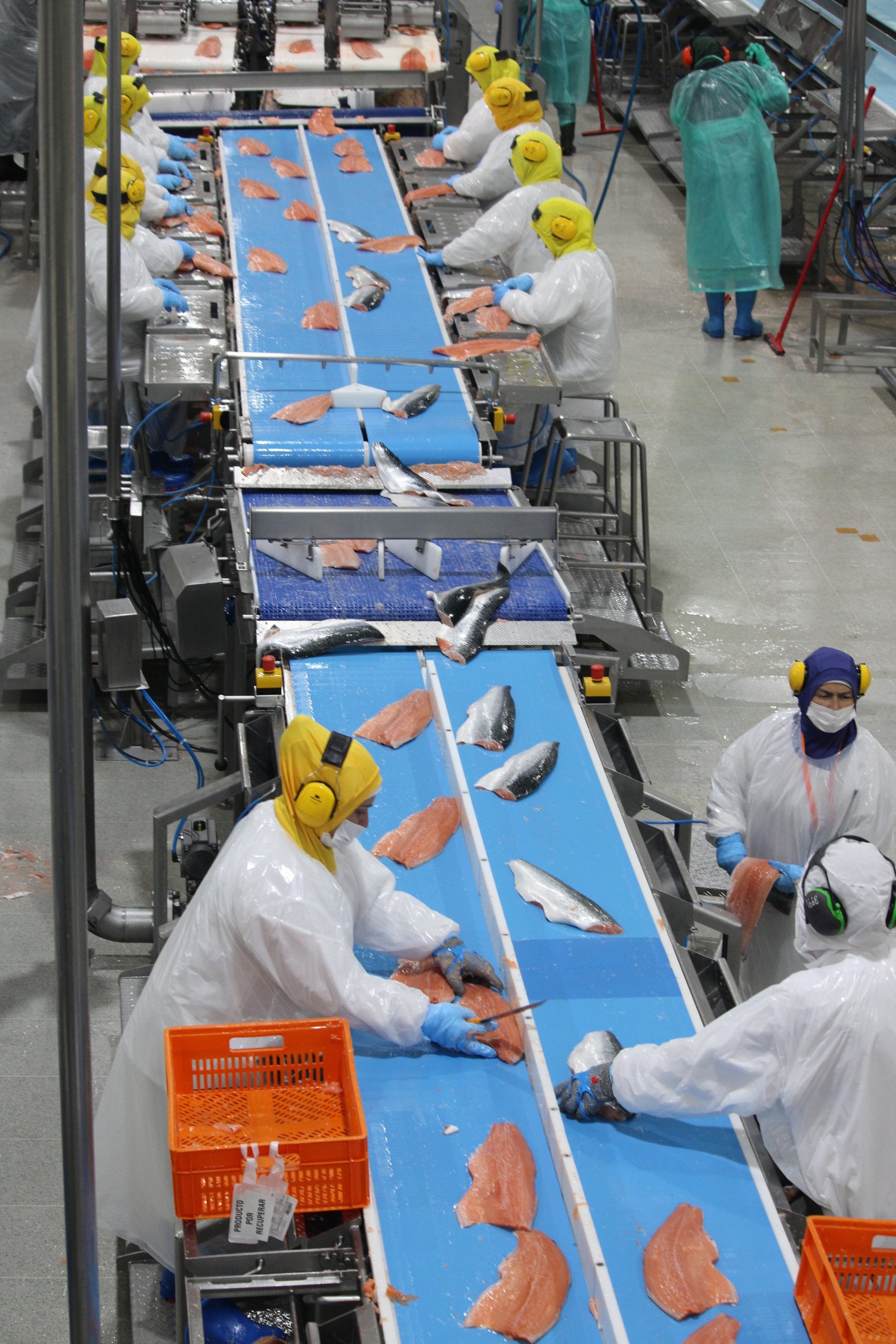 Kilic trials new value-added products in US, Middle East | Intrafish
