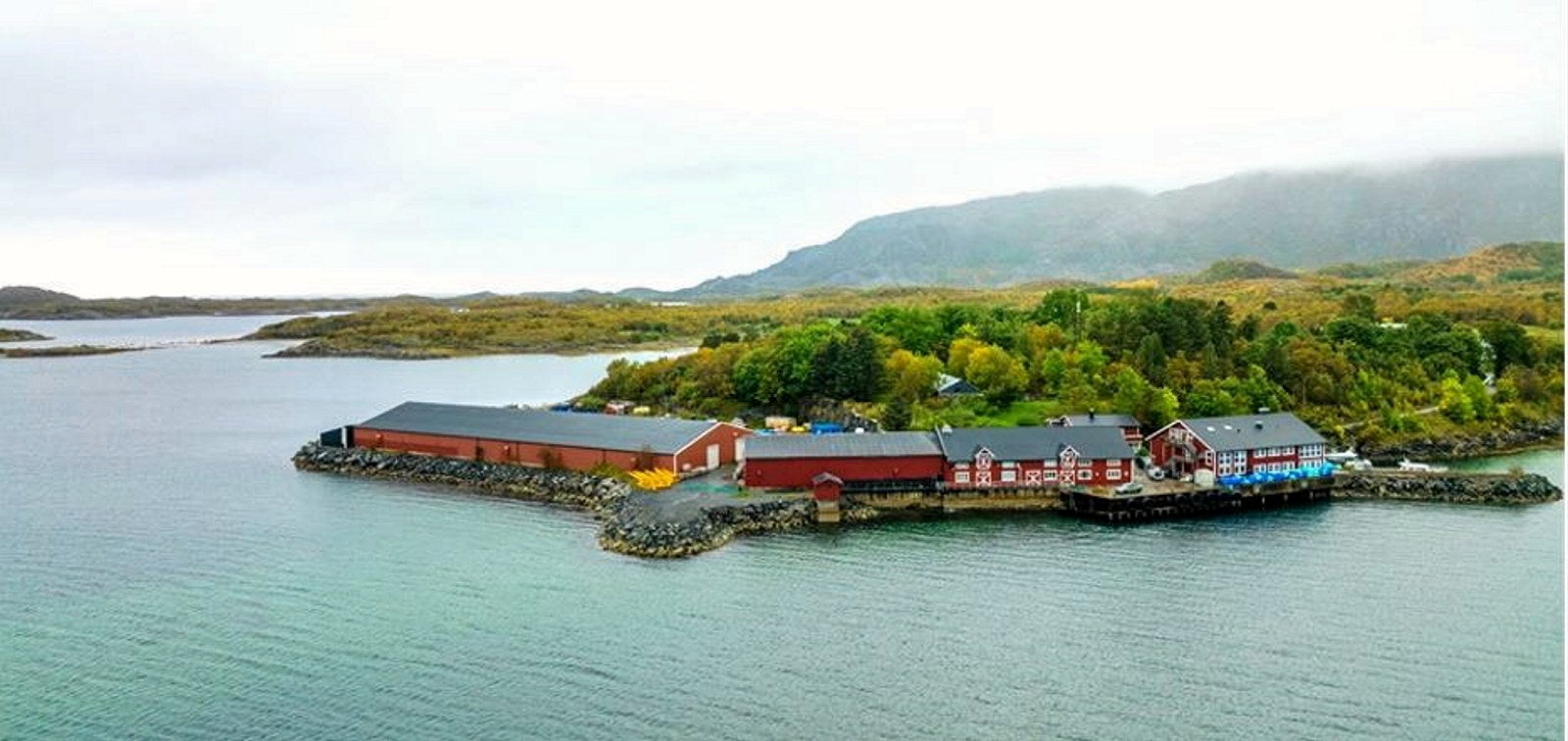 Kime Akva og Tomma Rensefisk forener krefter for nordnorsk satsing på ...