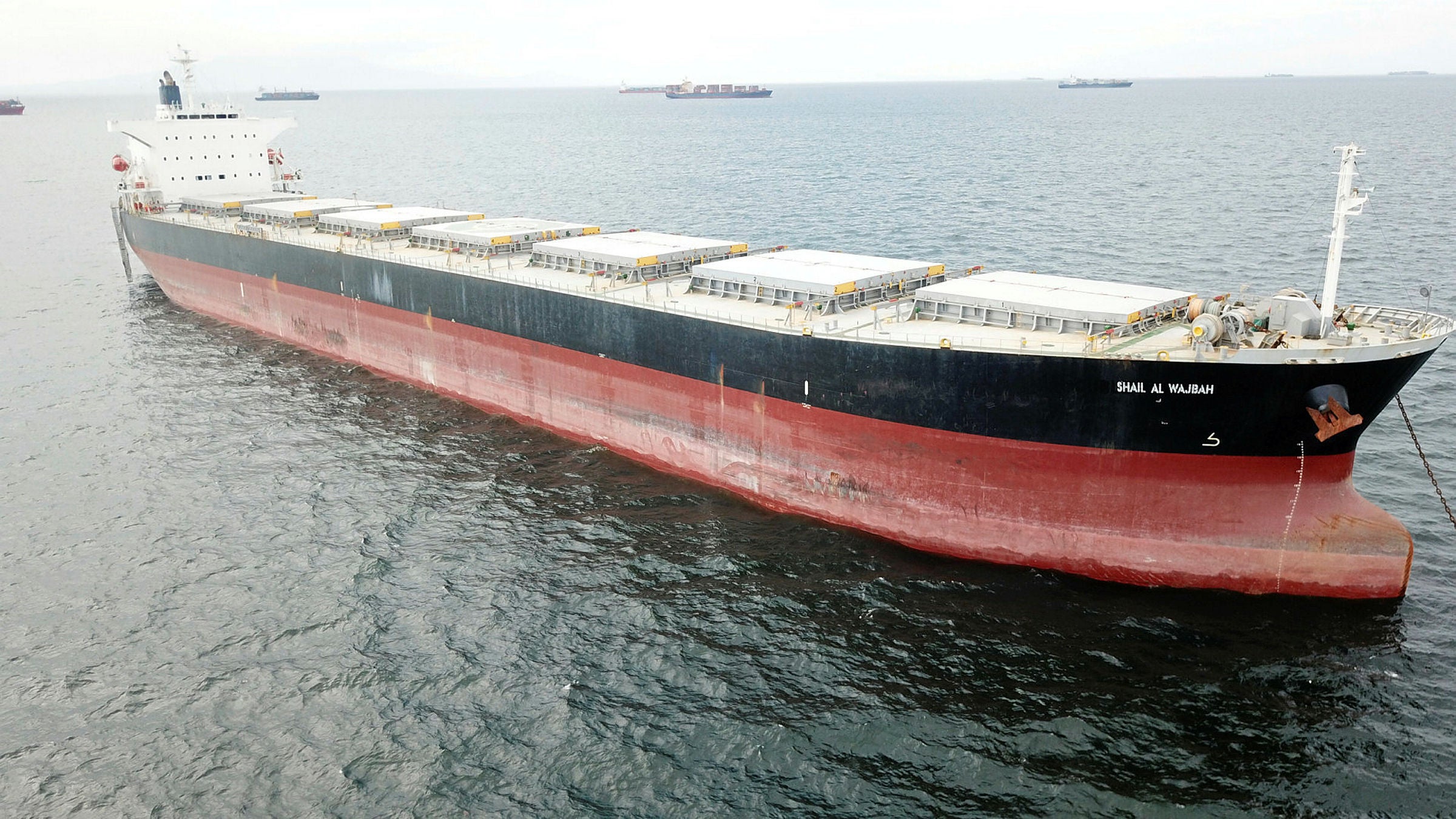 S'Hail Shipping adds biggest ship as bulkers regain ground