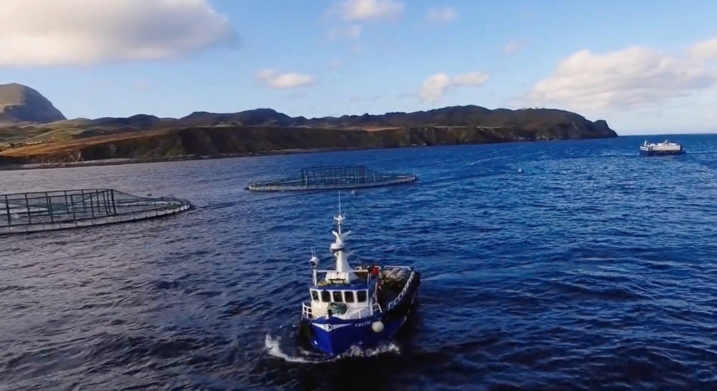 Ireland launches new funding call for seafood producer organizations