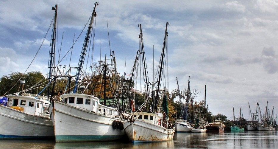 USDA announces $156m food purchase that includes major shrimp buy