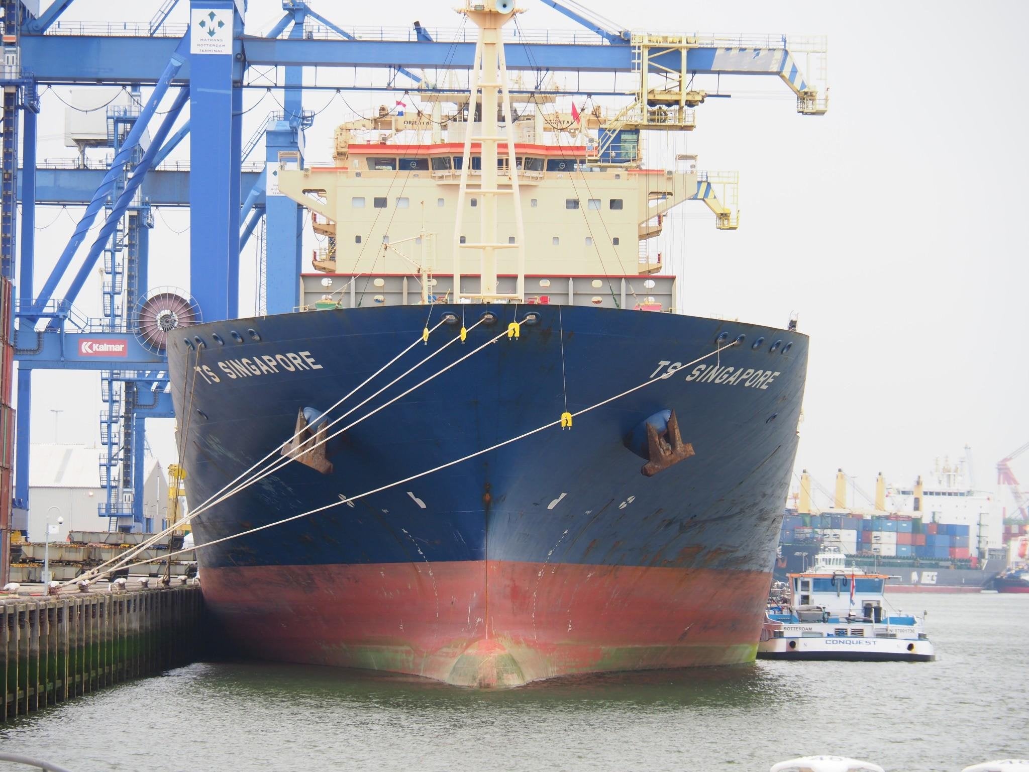TS Lines posts profit surge under new chief James Chen