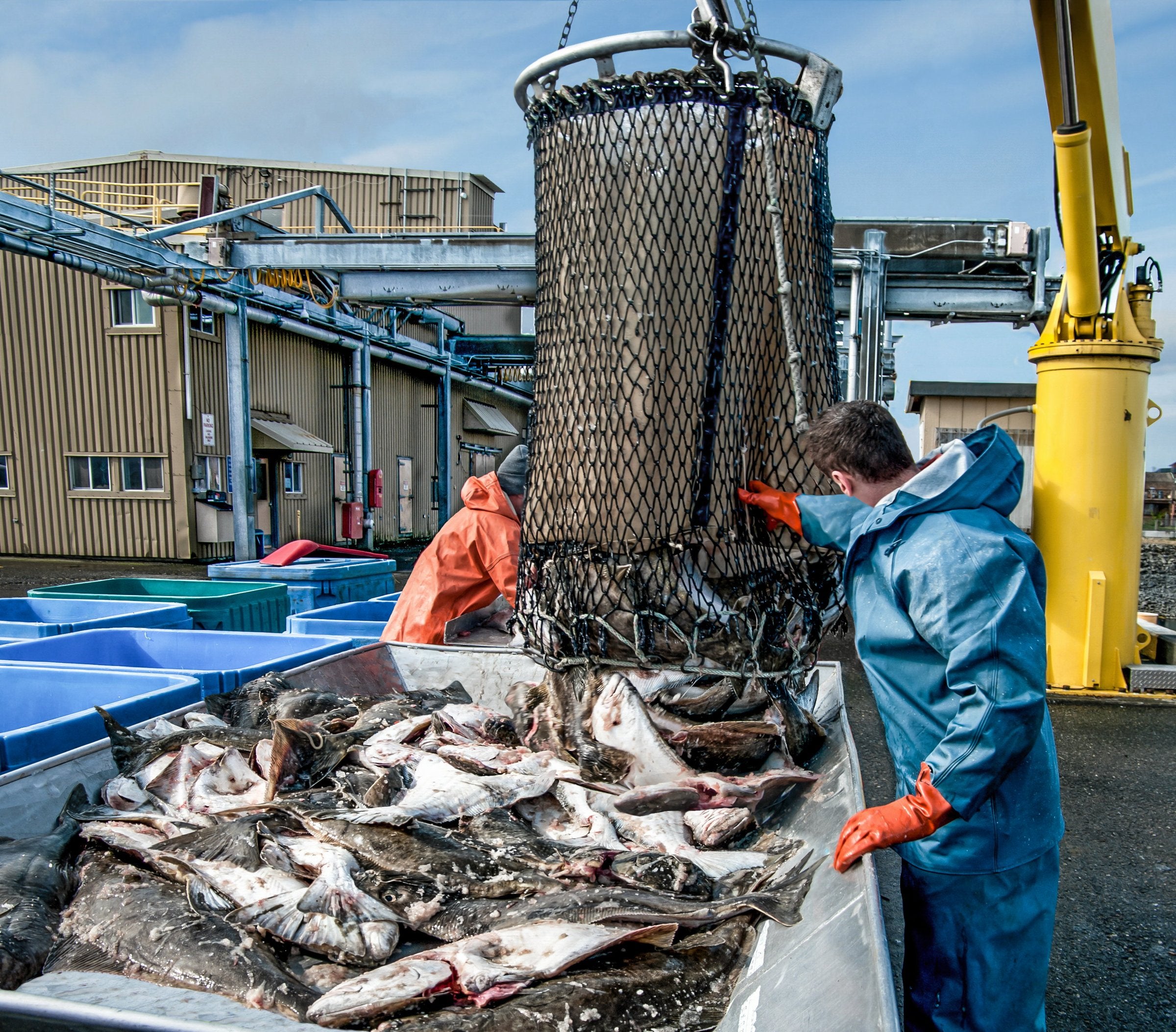 National Fisheries Institute part of new coalition to renew 'world's strongest trade agreement'
