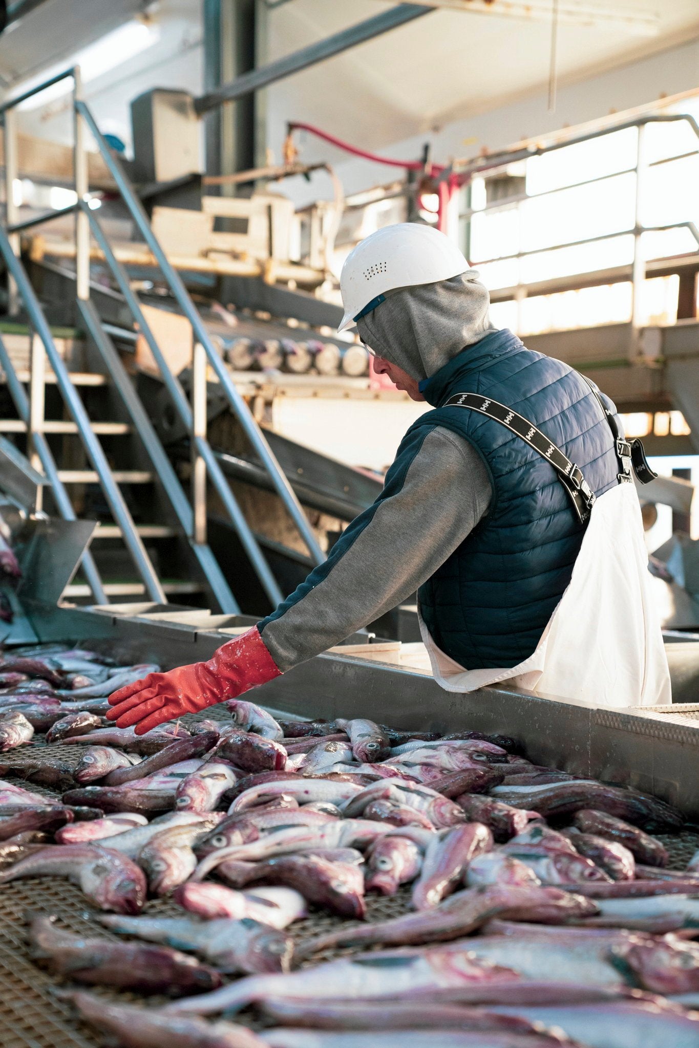 PBO and surimi hold steady as Alaska 