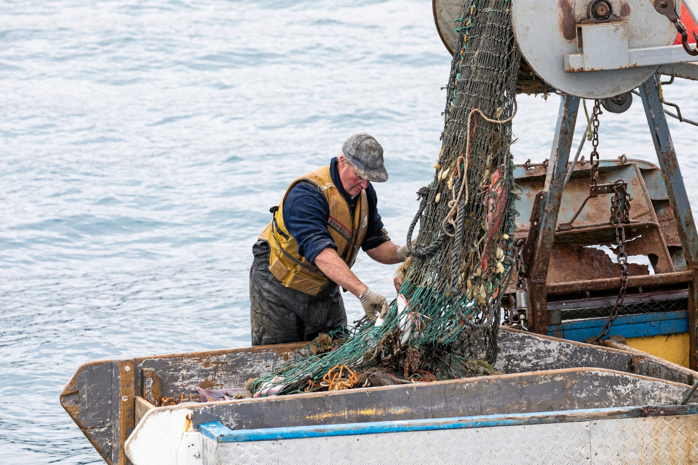 Group warns fishermen will suffer if new USDA Office of Seafood tilts toward corporate aquaculture